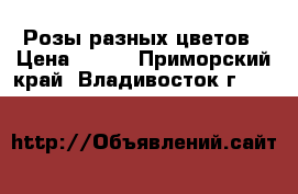 Розы разных цветов › Цена ­ 500 - Приморский край, Владивосток г.  »    